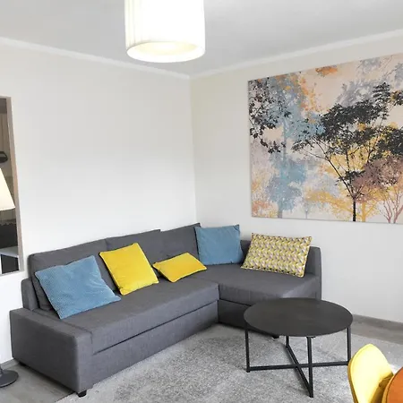 Les Artisans Au Centre Historique Apartamento Colmar